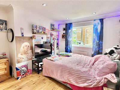 Picture 16